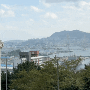 [부산 애견동반 카페] 확 트인 오션뷰에 댕댕이와 함께 산책까지 꽉찬 카페 머믄 달