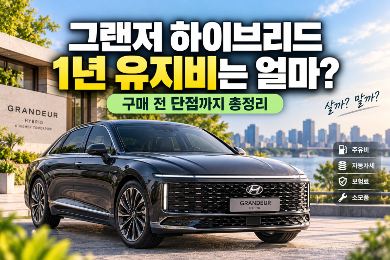 "기름값 아끼려다 이게 무슨 일?" 그랜저 하이브리드 차주들이 뒤늦게 털어놓은 현실