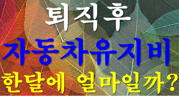 퇴직 후 자동차 유지비, 한 달에 얼마일까? 보험·세금·주유·정비비 현실 계산