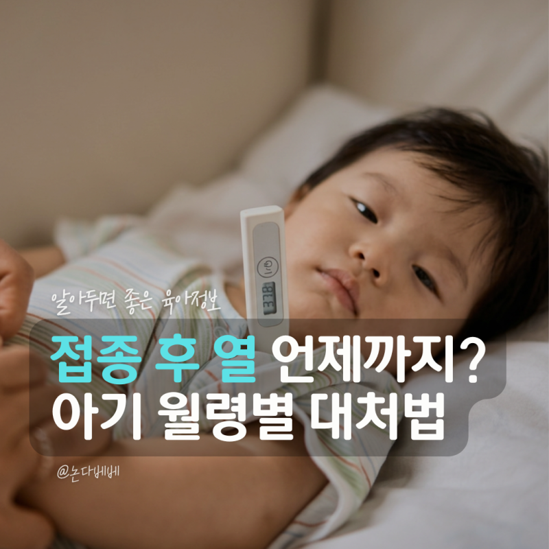 아기 접종열 언제까지? 2개월 4개월 6개월 월령별 기준과 대처