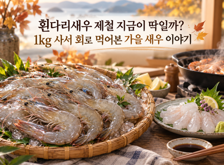 흰다리새우 제철 지금이 딱일까? 1kg 사서 회로 먹어본 가을 새우 이야기