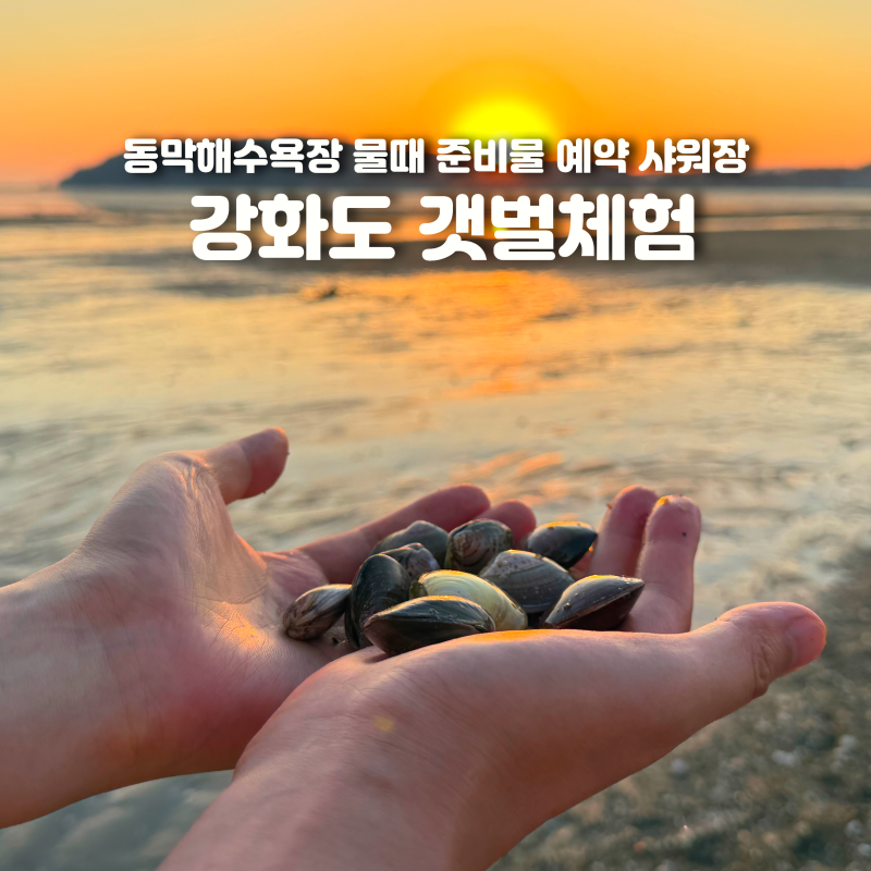 江華島潮間帶體驗 東幕海水浴場 預約 潮汐 淋浴間 準備物品