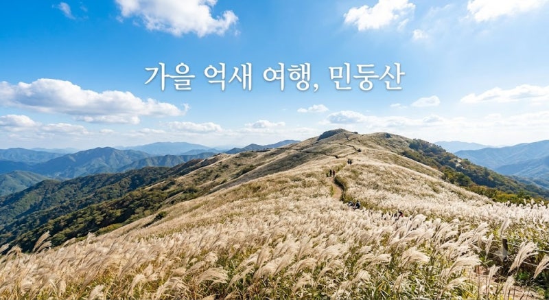 가을 억새 산행의 끝판왕 정선 민둥산! 절정 시기와 등산 코스 총정리