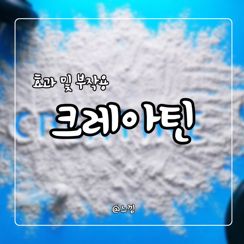 크레아틴 효과 및 부작용 복용법