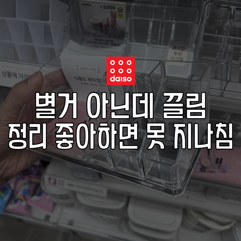 다이소 화장품 정리함 3가지, 립스틱·브러시 깔끔하게 정리하기
