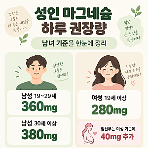 마그네슘하루권장량, 350mg이 기준일까? 성인 남녀 섭취량 정리