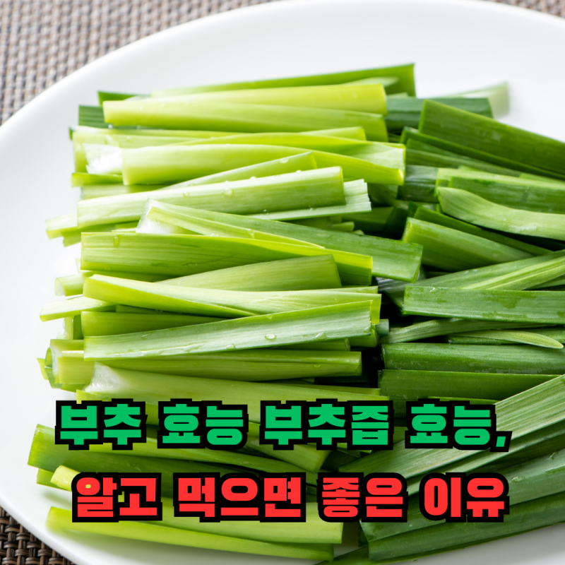부추 효능 부추즙 효능, 알고 먹으면 좋은 이유
