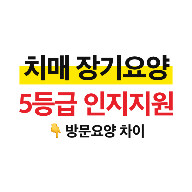 치매 장기요양등급 총정리 (5등급, 인지지원등급 차이, 판정 기준, 이용 서비스)