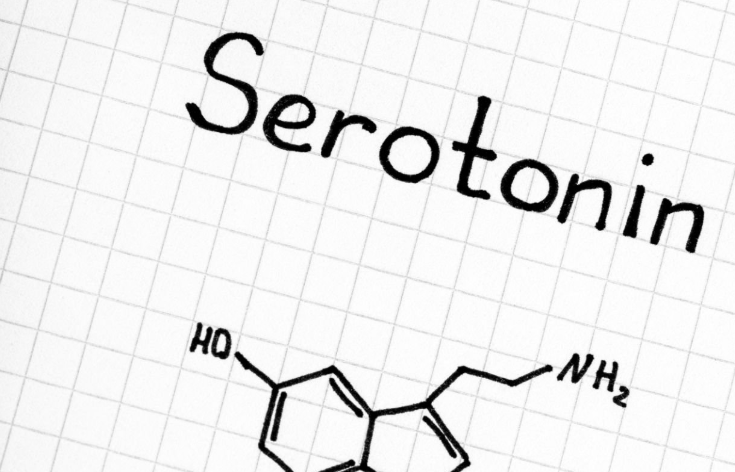 세로토닌 효능, 영양제, 호르몬, 뜻, 멜라토닌, 보충제, 부족, 결핍, 많은음식, 효과, 수면, 행....