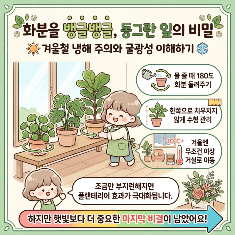 돈이 들어오는 식물 필레아 페페, 흑역사 딛고 폭풍 성장시킨 비결 (feat. 과습 탈출기)