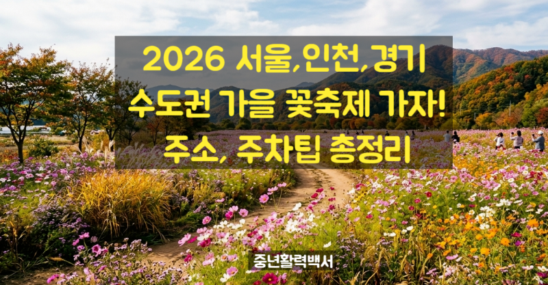 2026 서울, 인천, 경기 수도권 가을꽃축제 가자! 주소, 주차 팁 총정리