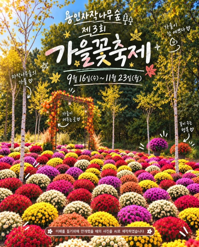 2026 용인자작나무숲 제3회 가을꽃축제 총정리｜핑크뮬리·국화·룰렛 이벤트