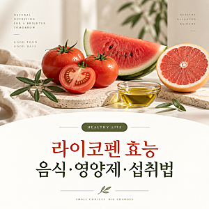 라이코펜 효능, 토마토만 먹어도 충분할까? 음식·영양제·섭취법