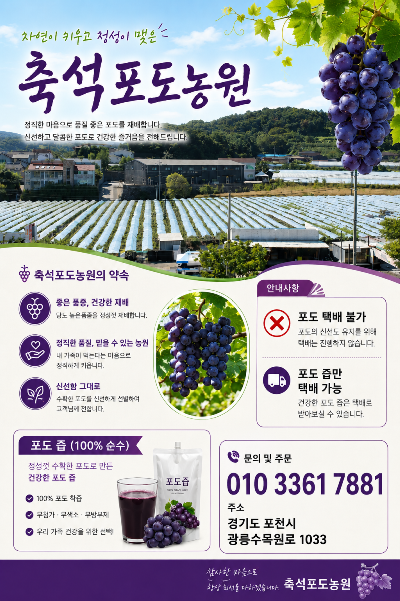 [포천포도, 광릉수목원포도] 2026.09.05. 토요일 수확 현장!