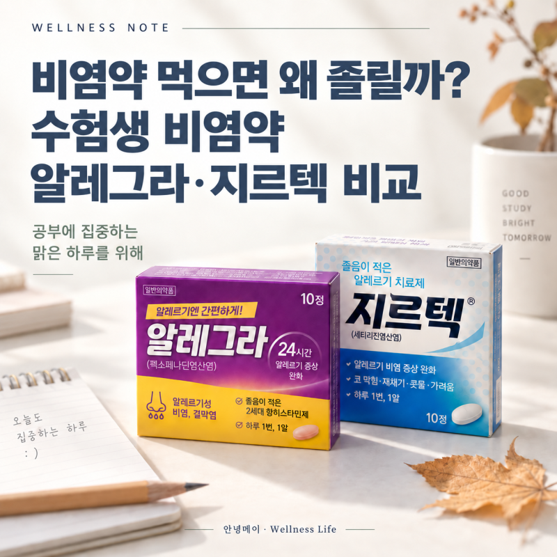 비염약 먹으면 왜 졸릴까?｜수험생 비염약 알레그라·지르텍 비교