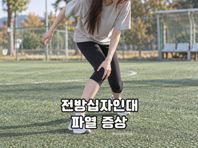 무릎 전방십자인대 파열 증상, 원인은?