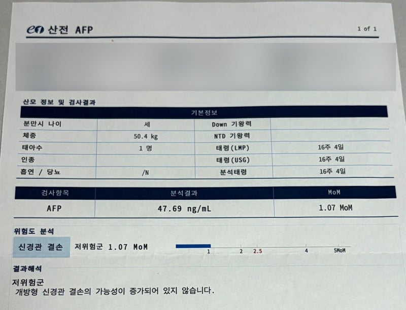 P8. 임신 16주차 신경관 결손 검사 후기