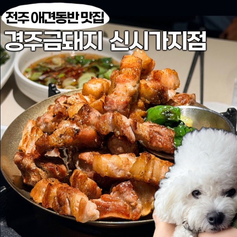 전주 애견동반 맛집 | 경성금돼지 신시가지점 | 부모님도 인정한 금돼지 B세트 후기