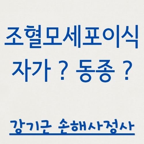 조혈모세포이식이란? 자가이식과 동종이식의 차이 한 번에 정리