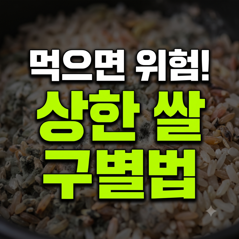 상한 쌀 구별법 총정리: 냄새부터 쌀뜨물 색깔까지 핵심 기준 3가지