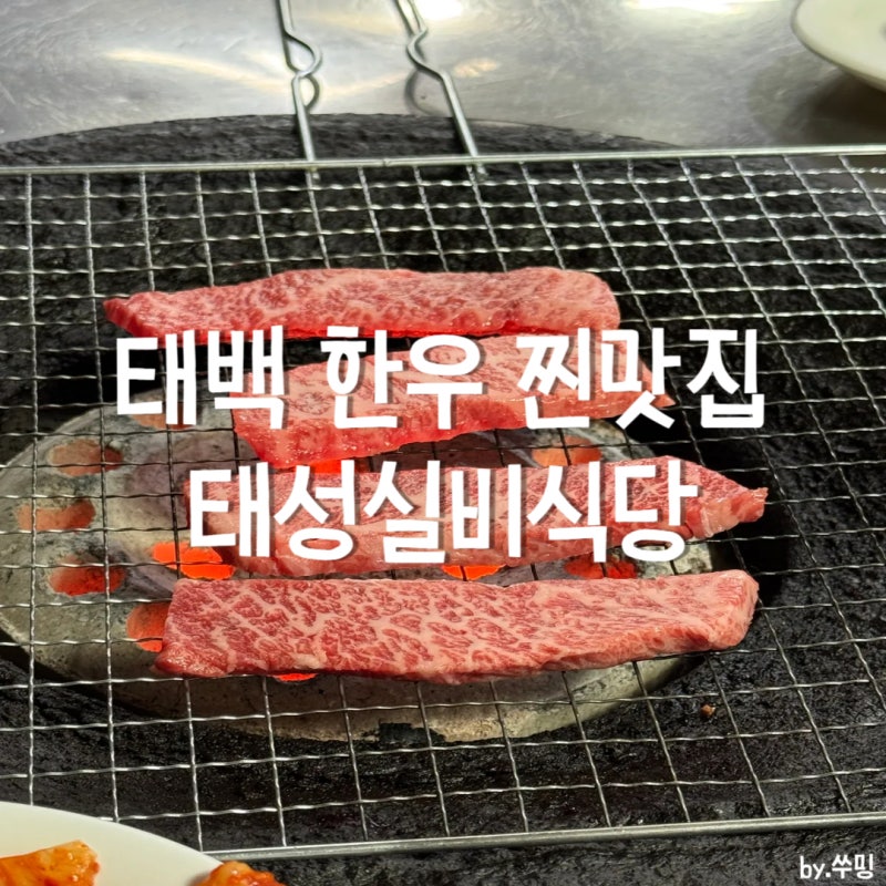 태백 한우 맛집 원조태성실비식당ㅣ연탄불 갈비살 살치살 육회 찐후기