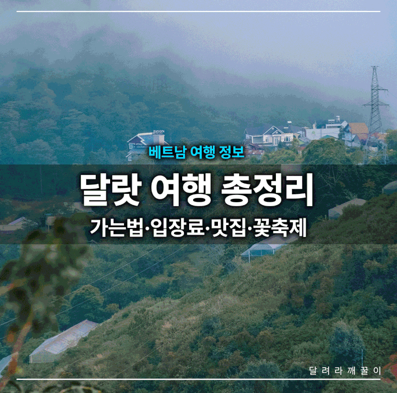 달랏 여행 총정리ㅣ가는법·입장료·맛집·꽃축제