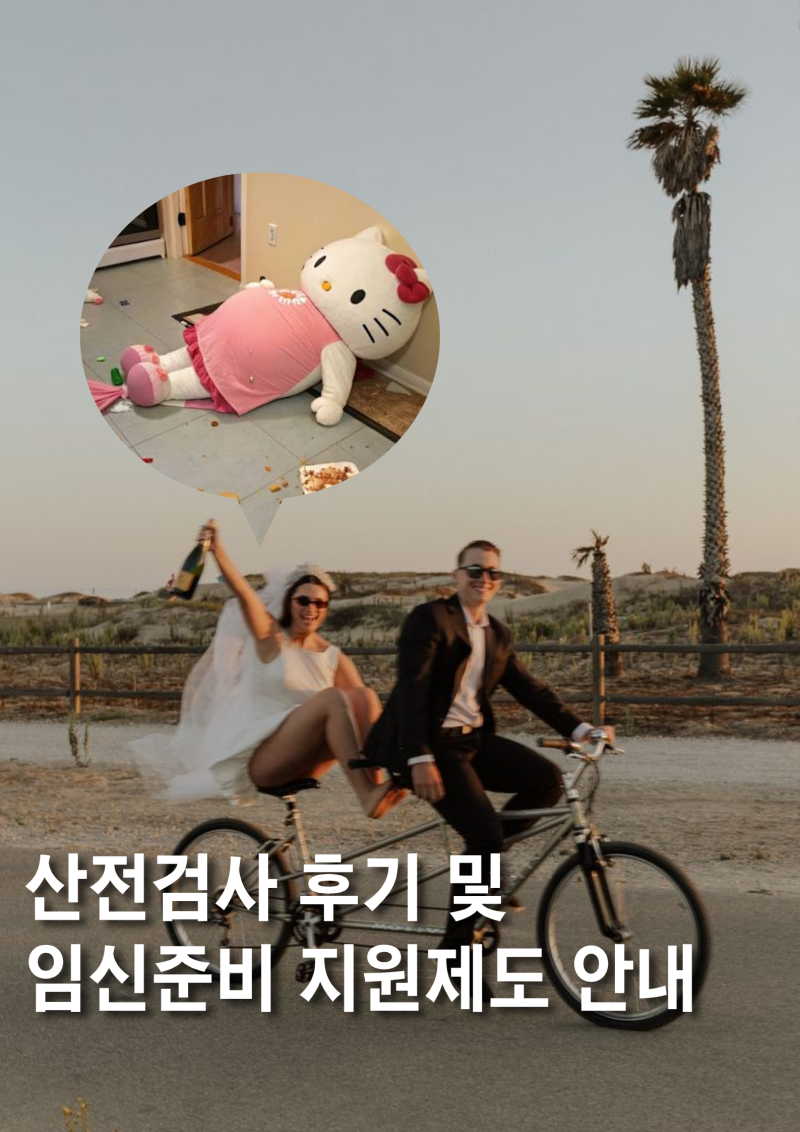 산전검사 후기 및 소득 상관없이 다 받는 임신준비 지원제도