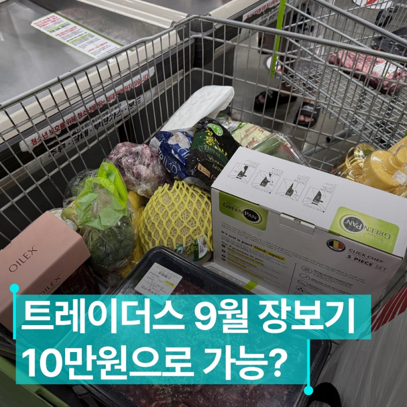 트레이더스 9월 장보기 10만원으로 가능할까? 장바구니 얼마나 채울까?