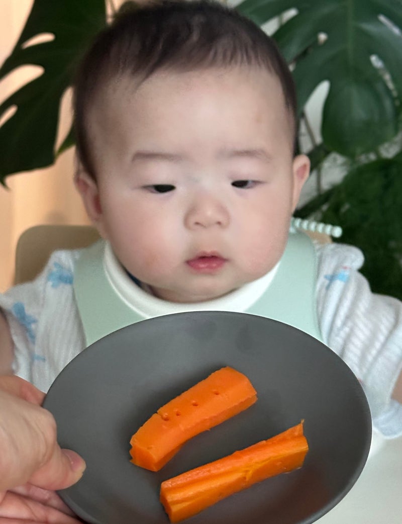 초기 이유식 한 달 회고