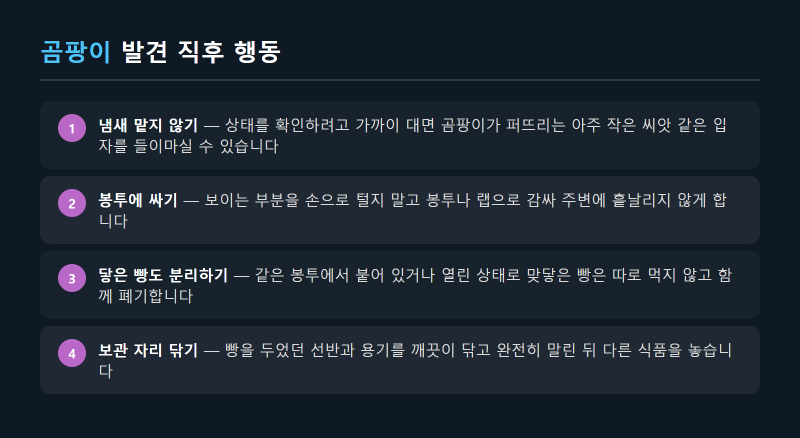 빵에 곰팡이가 생겼을 때 주변까지 버려야 하는 이유