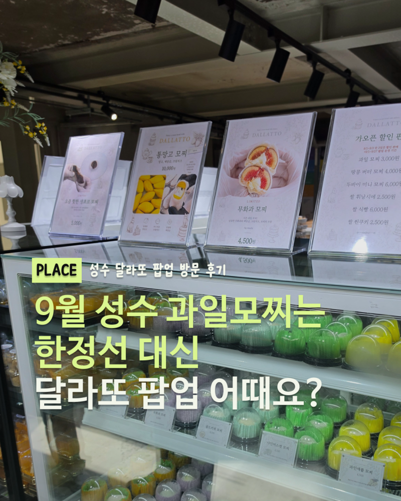 성수에서 한정선만 찾아봤다면? 9월엔 달라또 팝업 가보세요!
