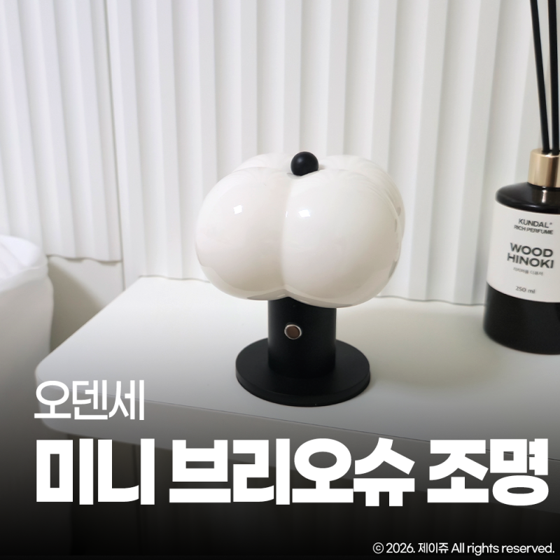 집들이 선물 추천 오덴세 미니 브리오슈 조명 세라믹 무드등 후기