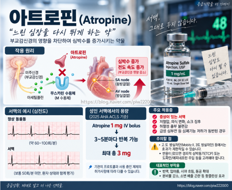 [응급약물 공부노트] ④ 아트로핀(Atropine)｜서맥에 왜 사용할까?