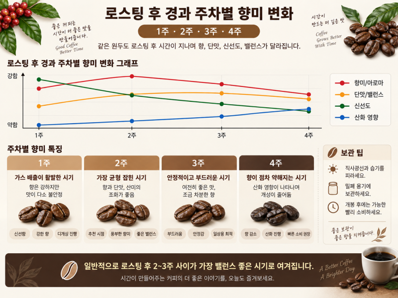 [커피 왕초보 가이드 #7] 원두를 냉동실에 넣으면 안 된다고요? 흔한 보관법 오해 바로잡기