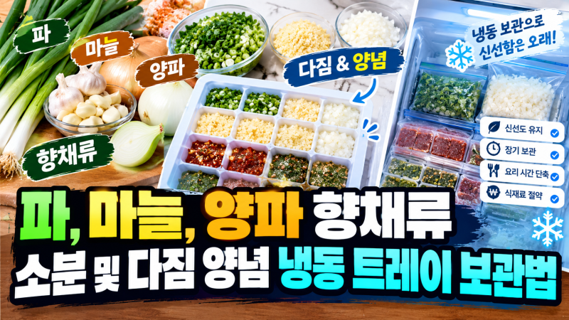 파, 마늘, 양파 향채류 소분 및 다짐 양념 냉동 트레이 보관법