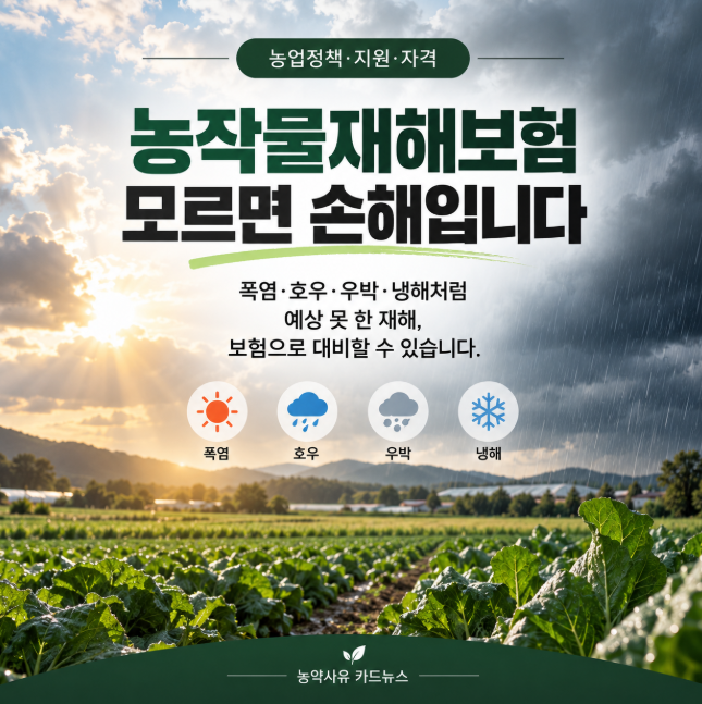 농작물재해보험, 모르면 손해입니다｜2026 가입대상·보장범위·보험료·가입기간 총정리