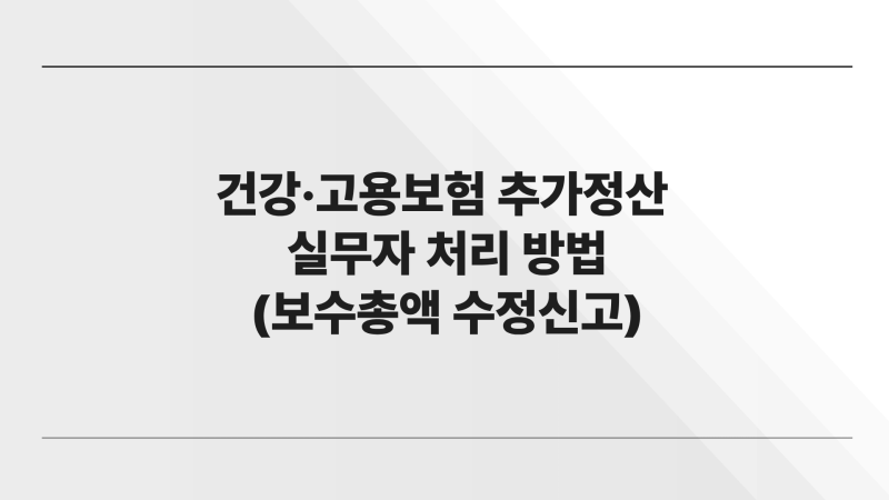 건강보험 국세청 소득자료 연계에 따른 추가정산 실무자 처리방법