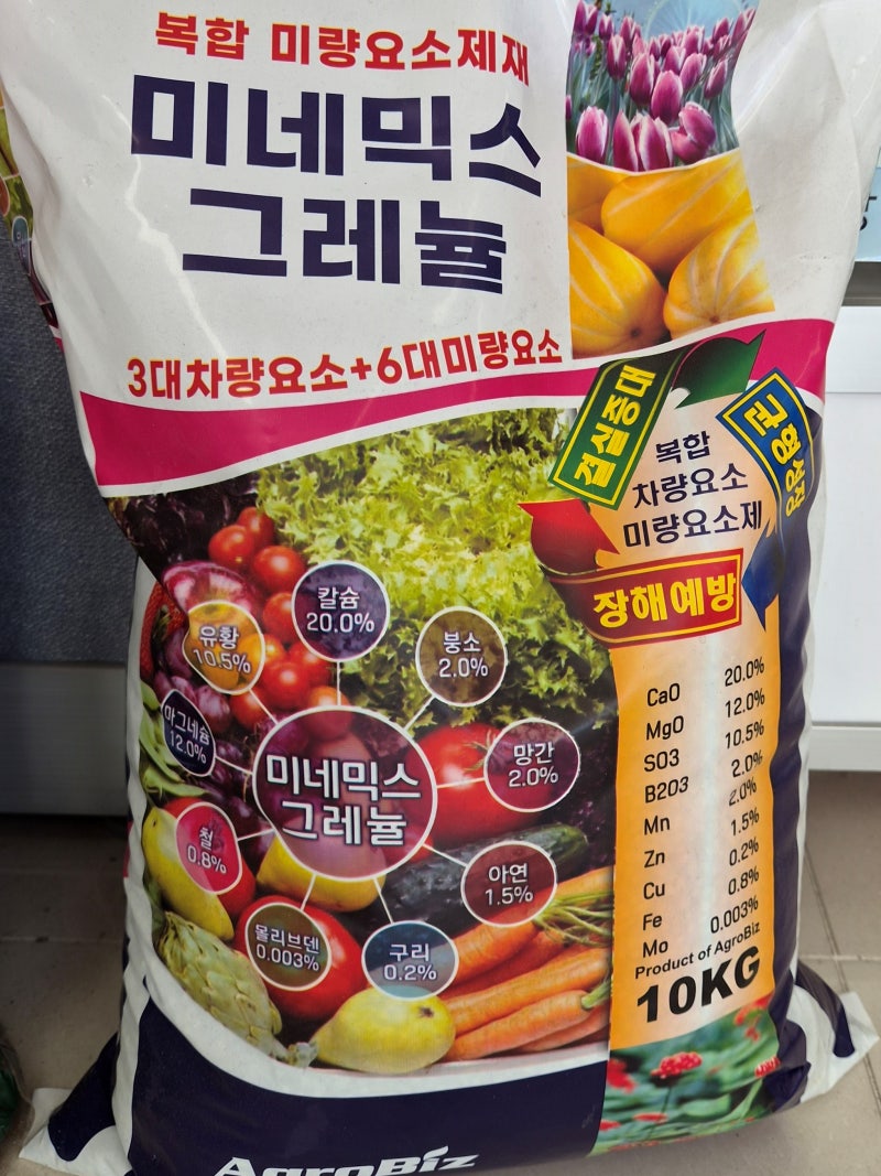 붕사의 효과 및 사용시기 및 방법