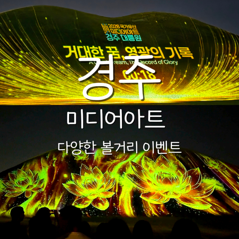 경주여행 대릉원 미디어아트 야경 코스 완벽 정리 및 황리단길 주차 꿀팁