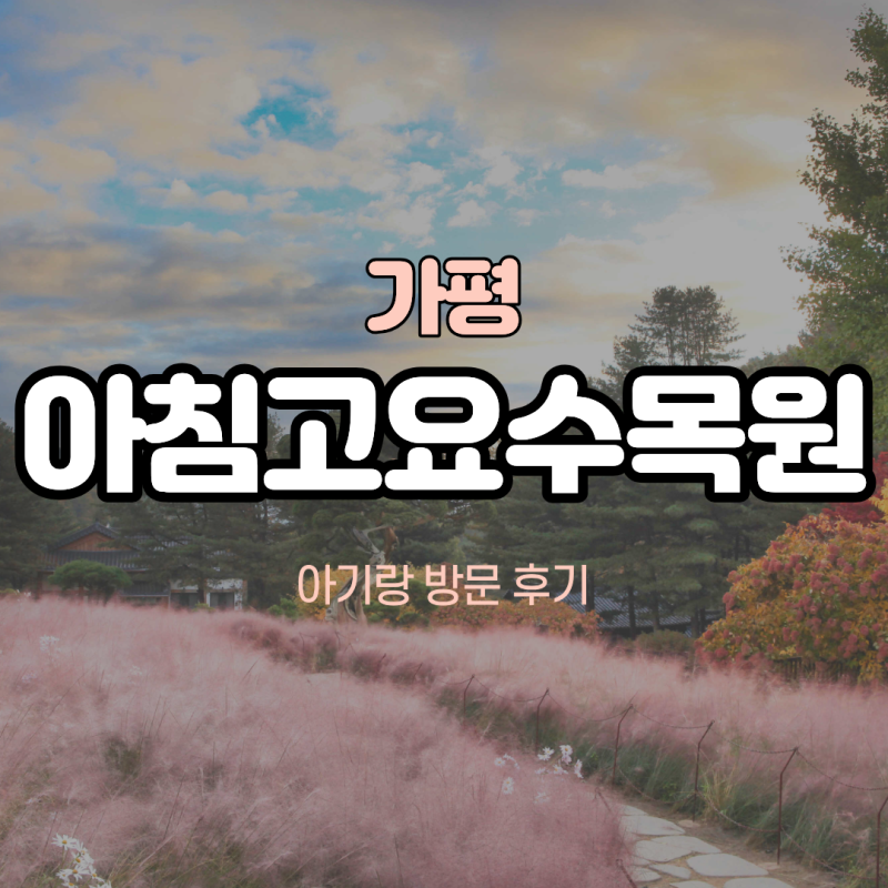 가을 아기랑 가볼만한곳, 아침고요수목원 10개월 아기 후기