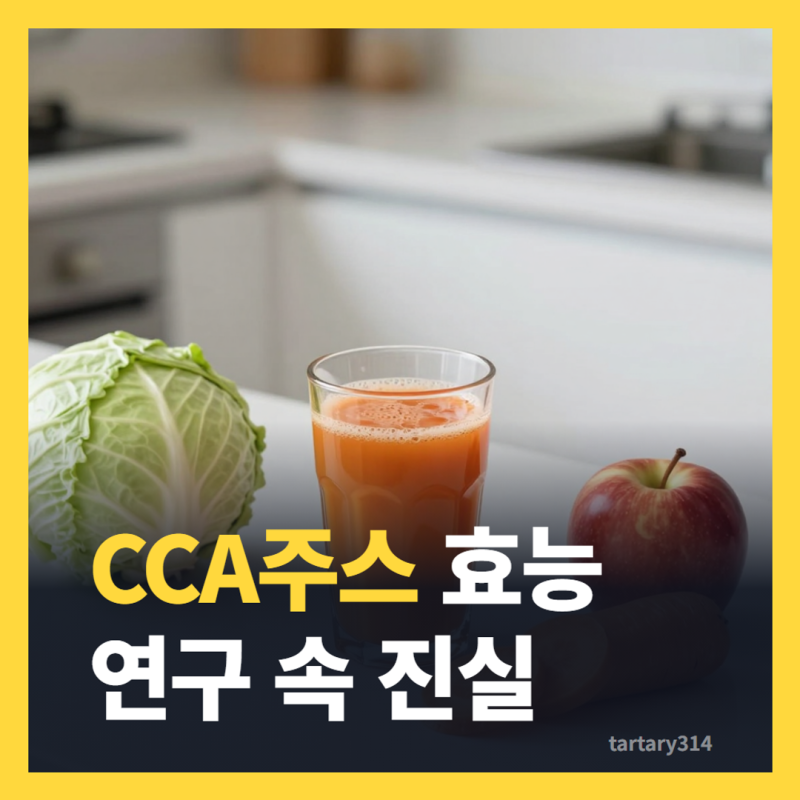 CCA주스 효능과 체중 관리 연구 속 진실?