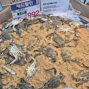 꽃게제철을 맞아 집에서 꽃게찜해먹기! 롯데마트 꽃게 꽃게찜 하는법 시간 레시피 손질