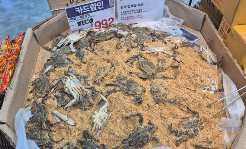 꽃게제철을 맞아 집에서 꽃게찜해먹기! 롯데마트 꽃게 꽃게찜 하는법 시간 레시피 손질