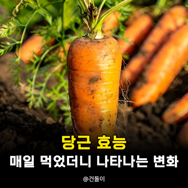 당근효능 4가지 매일 먹었더니 나타나는 변화