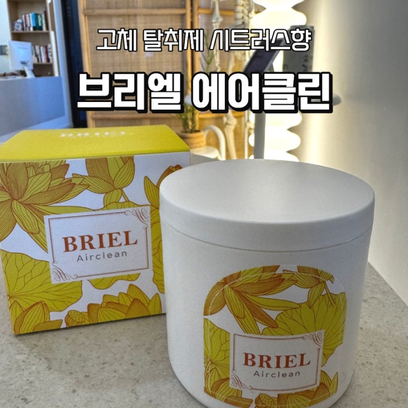 문 열자마자 나는 집 냄새 고민, 브리엘 에어클린 고체 탈취제 써본 후기