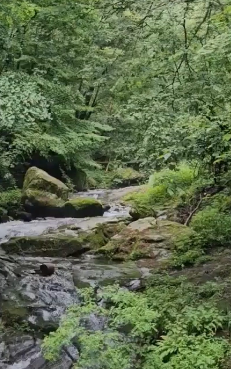 치악산둘레길 11코스 총정리총 140km, 코스·거리·소요시간·교통편까지