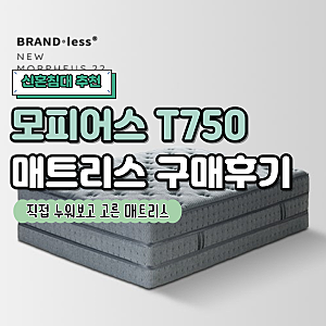 베스트슬립 목동본점 후기｜모피어스 T750 적당탄탄 라지킹 내돈내산 구매