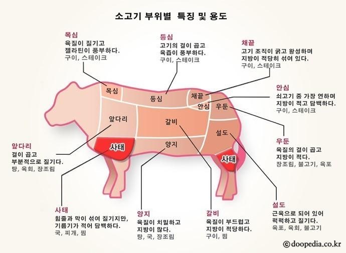 소고기 부위 총정리, 등심·안심부터 갈비·양지·사태까지 — 소 한 마리는 어떻게 구이와 곰....