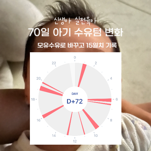 70일 아기 수유텀 변화 모유수유 직수로 바꾼 후 15일 치 기록