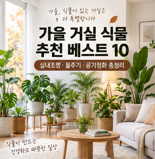 가을 거실 식물 추천 베스트 10: 실내조명·물주기·공기정화 가이드